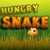 Hungry Snake 2