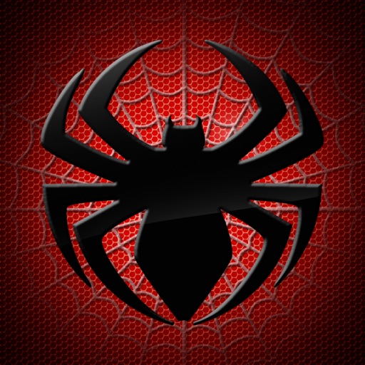 Spider Mystery icon