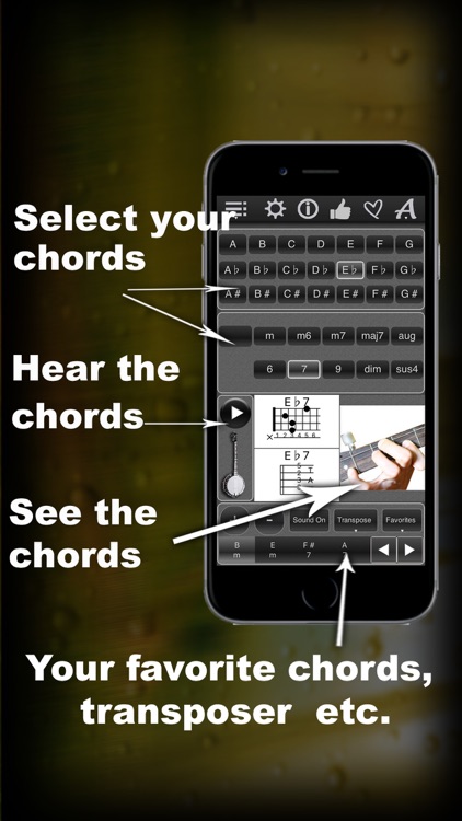 120 Banjo Chords screenshot-0