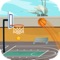 Basketball Trick Shot