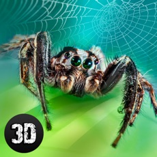 Activities of Spider Life Simulator 3D Full