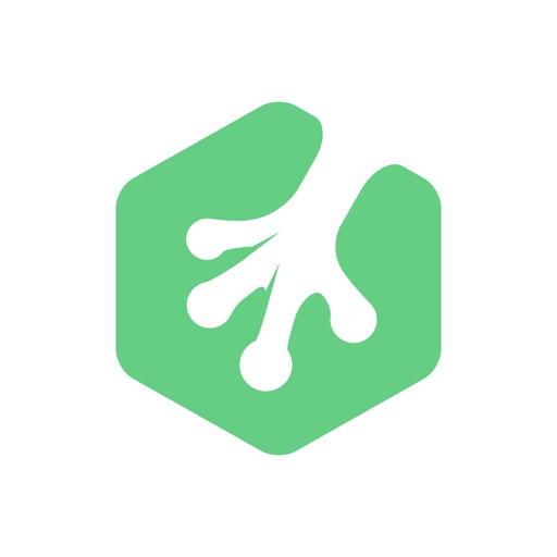 Treehouse: Learn Programming and Design