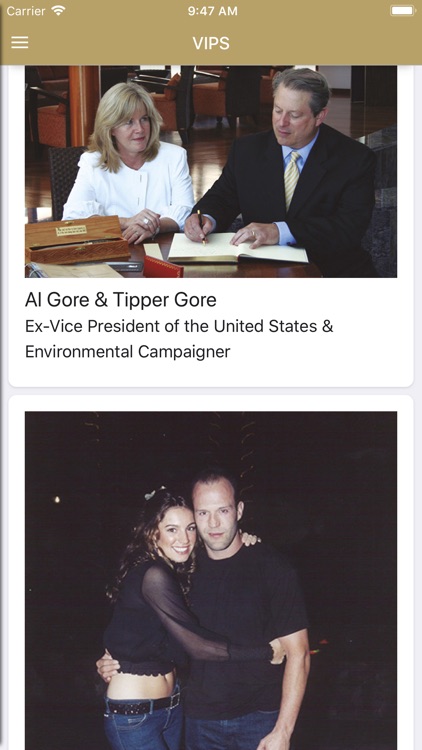 Anfi screenshot-7