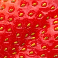 Fruit Wallpapers Avis