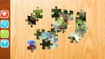 Little Dinosaur Jigsaw Puzzle Boards For Adults screenshot 4