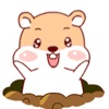 Hamsters Animated Stickers