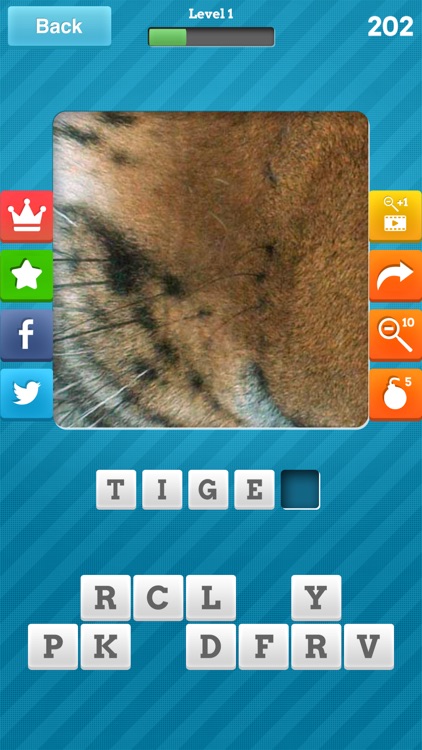 Close Up Pics Quiz - Guess the Word Trivia Games