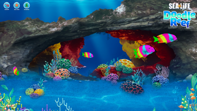 Sea Life Doodle Reef screenshot 3