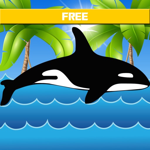 Orca Whale Icon