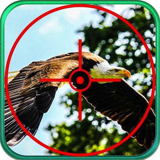 2016 Turkey Eagle Shooting - Shotgun Hunter icon