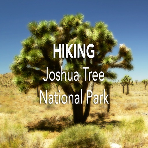 Hiking Joshua Tree National Park