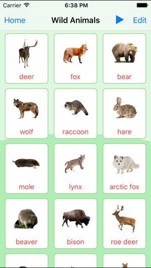 Animals. Learning Cards And Quiz(圖2)-速報App