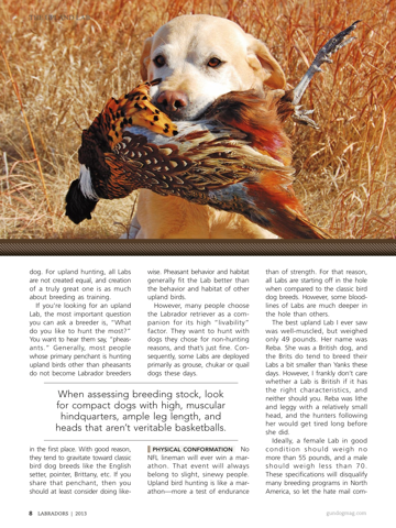 Labrador Magazine screenshot 4
