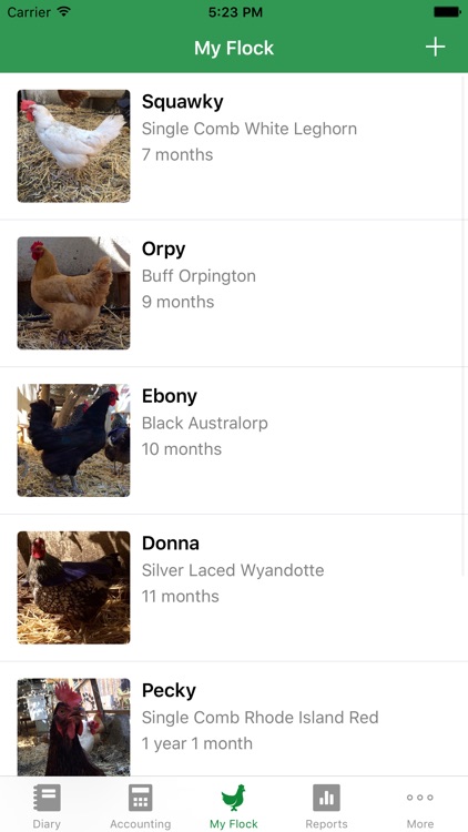 FlockPlenty - Chicken Egg Tracker