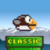 Snappy Bird - Flappy Hawk