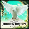 Hidden Object - Love and Light