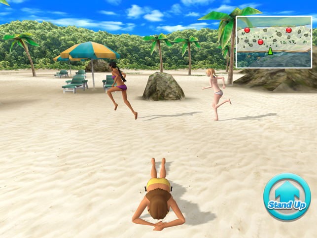 Beach Flag Paradise, game for IOS