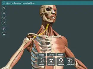 Screenshot 1 Visual Anatomy 3D | Human iphone