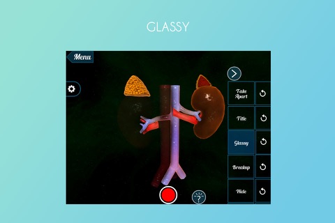 Adrenal Gland on Kidney 3D screenshot 4