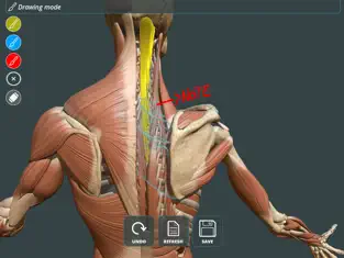 Screenshot 5 Visual Anatomy 3D | Human iphone