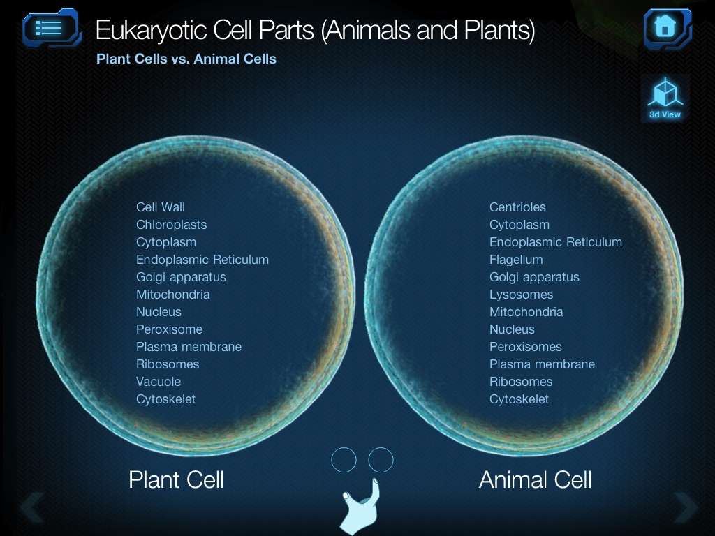 Cell and Cell Structure screenshot 3