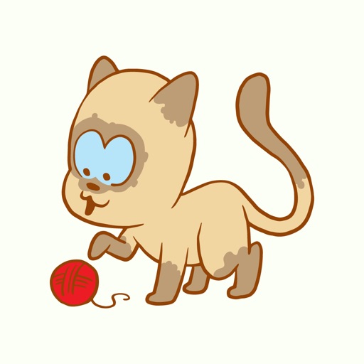 Adorable Cat