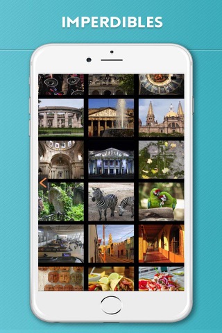 Guadalajara Travel Guide and Offline City Map screenshot 4