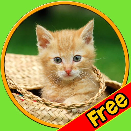 games for cats - free icon