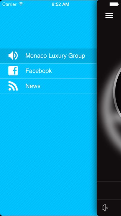 Monaco Luxury Group screenshot 2