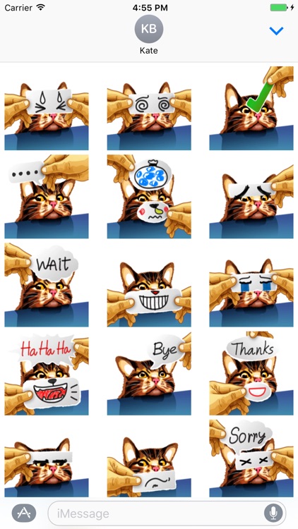 Meme Cat Sticker