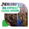 Big Cypress National Preserve Travel Guide