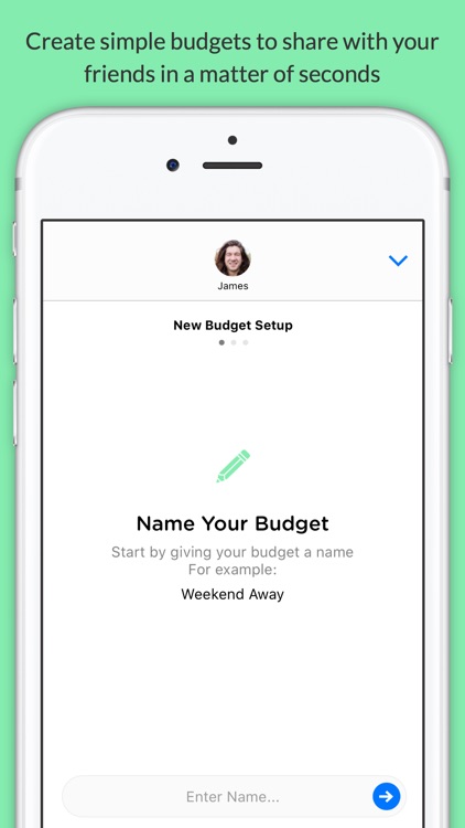 Pennies Mini - Share budgets with your friends screenshot-4