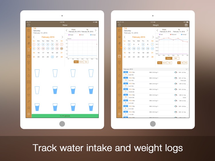 Daily Carb Pro for iPad - Carbs Counter & Tracker