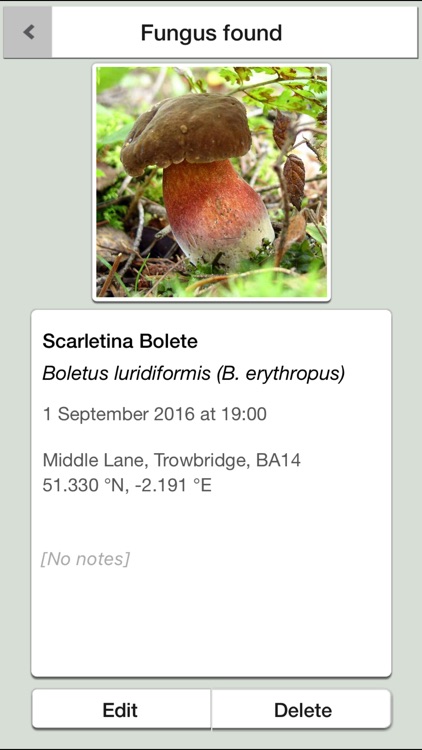Mushrooms & other Fungi UK screenshot-3