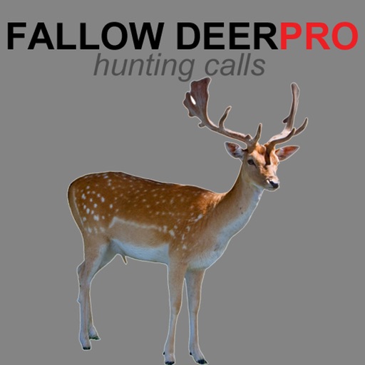 REAL Fallow Deer Calls - Deer Grunt & Deer Bark - BLUETOOTH COMPATIBLE iOS App