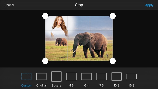 Animal Photo Frames(圖4)-速報App