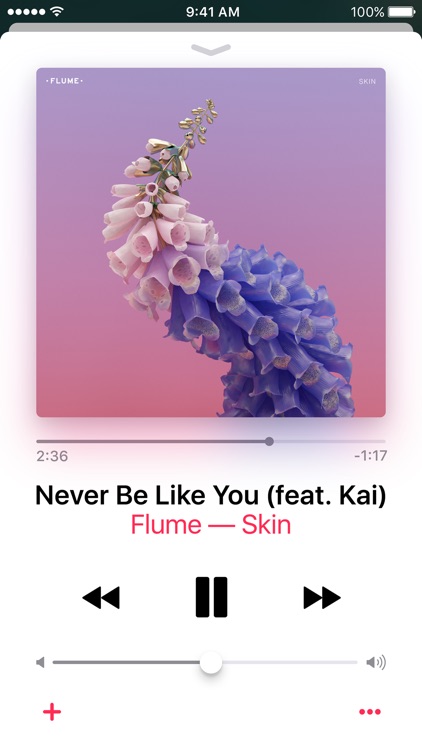 Apple Music screenshot-4