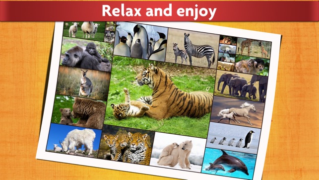 Cute Baby Animals Puzzle - Relaxing photo picture jigsaw puz(圖5)-速報App