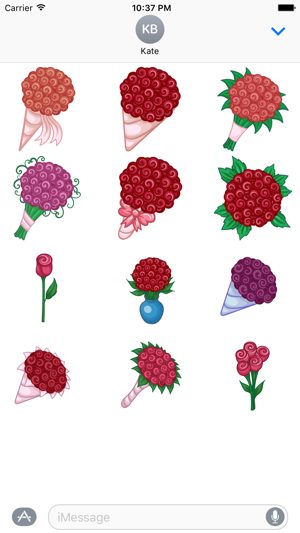 Floral Bouquet Stickers for iMessage(圖1)-速報App