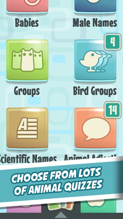 Quiz Owl's - Animal Trivia
