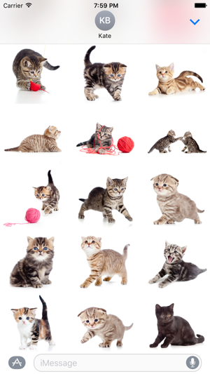 Cute Kittens Sticker Pack(圖3)-速報App