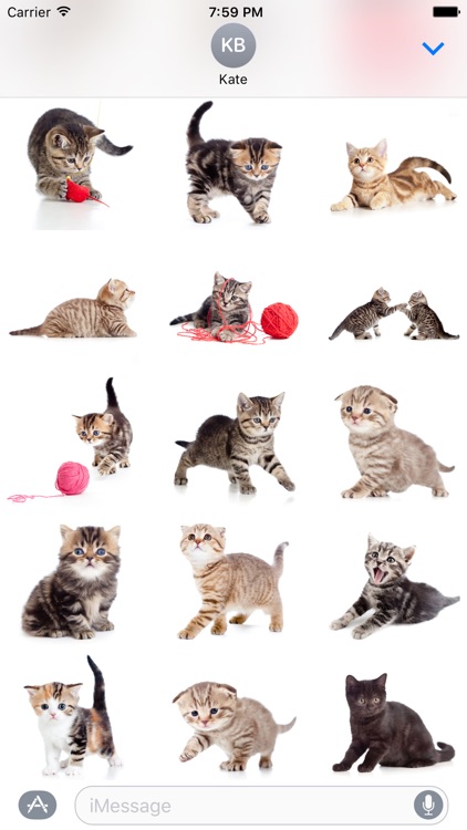 Cute Kittens Sticker Pack