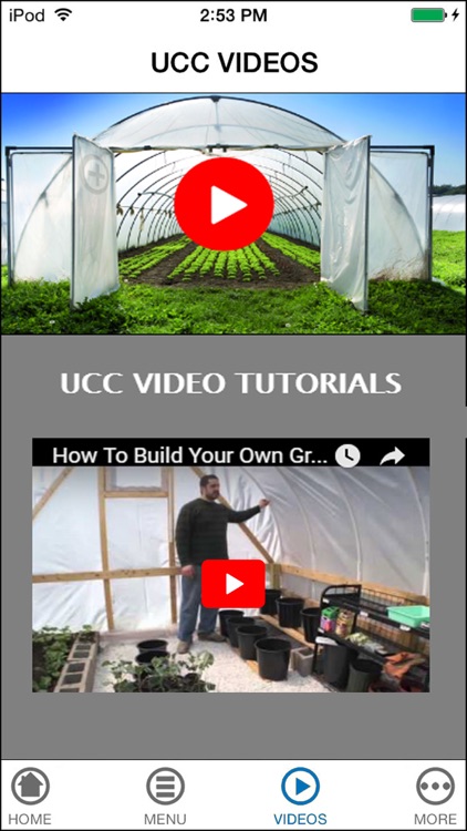 DIY Homemade Greenhouse Guide for Beginners to Experts - Plan & Design an Energy Efficiency Strategy