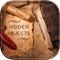 Hidden Objects - Unexpected Heritage