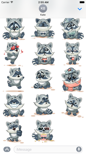 Stkyz: Raccoon(圖3)-速報App