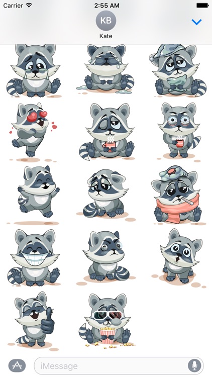 Stkyz: Raccoon