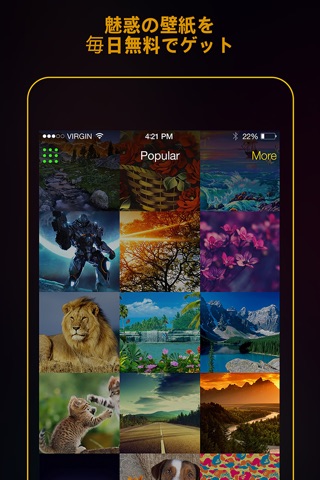 Wallpapers Plus - Pictures and Backgrounds for Lock Screen and Home Screen screenshot 2