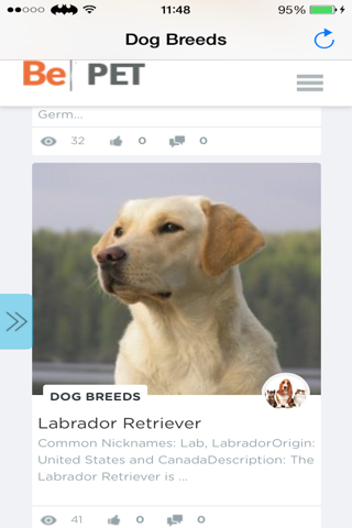 Dog Breeds iPetAdoption screenshot 3