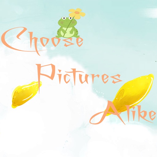 Choose Pictures Alike Icon