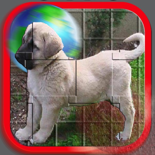 Dogs - Puzzle icon